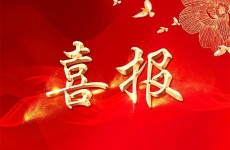 微光聚力，創效賦能：新疆有色院“五小”創新結碩果